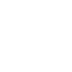 Leonardo